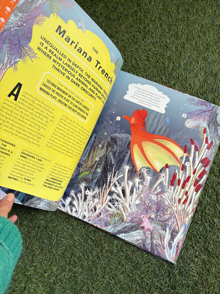 The Fantastical Safari