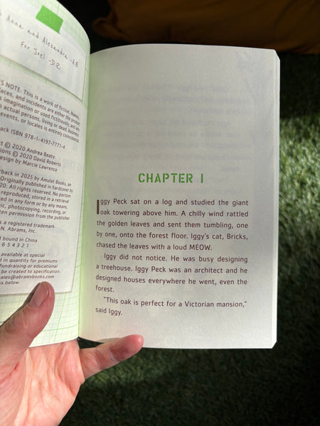 The Questioneers Iggy Peck and the Mysterious Mansion