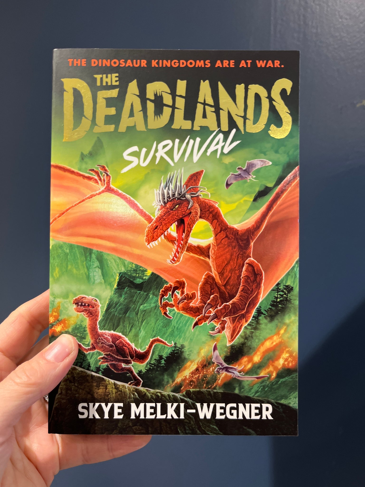 The Deadlands Survival (book 3)