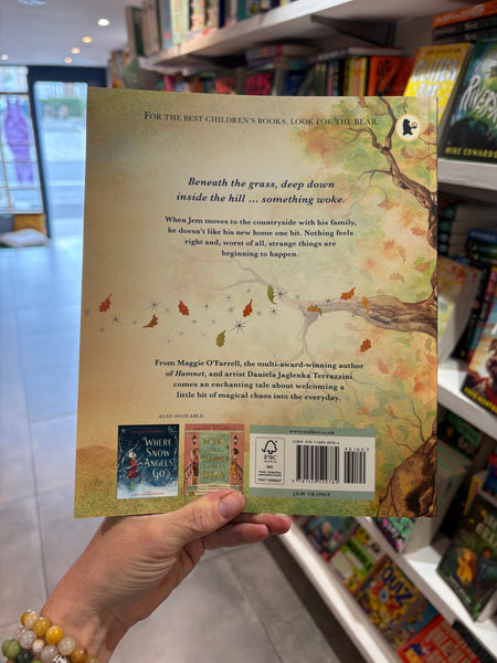 The Boy Who Lost His Spark (pb)