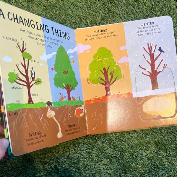 All the Things a Tree Can Be