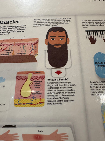 The Ultimate Book of the Human Body