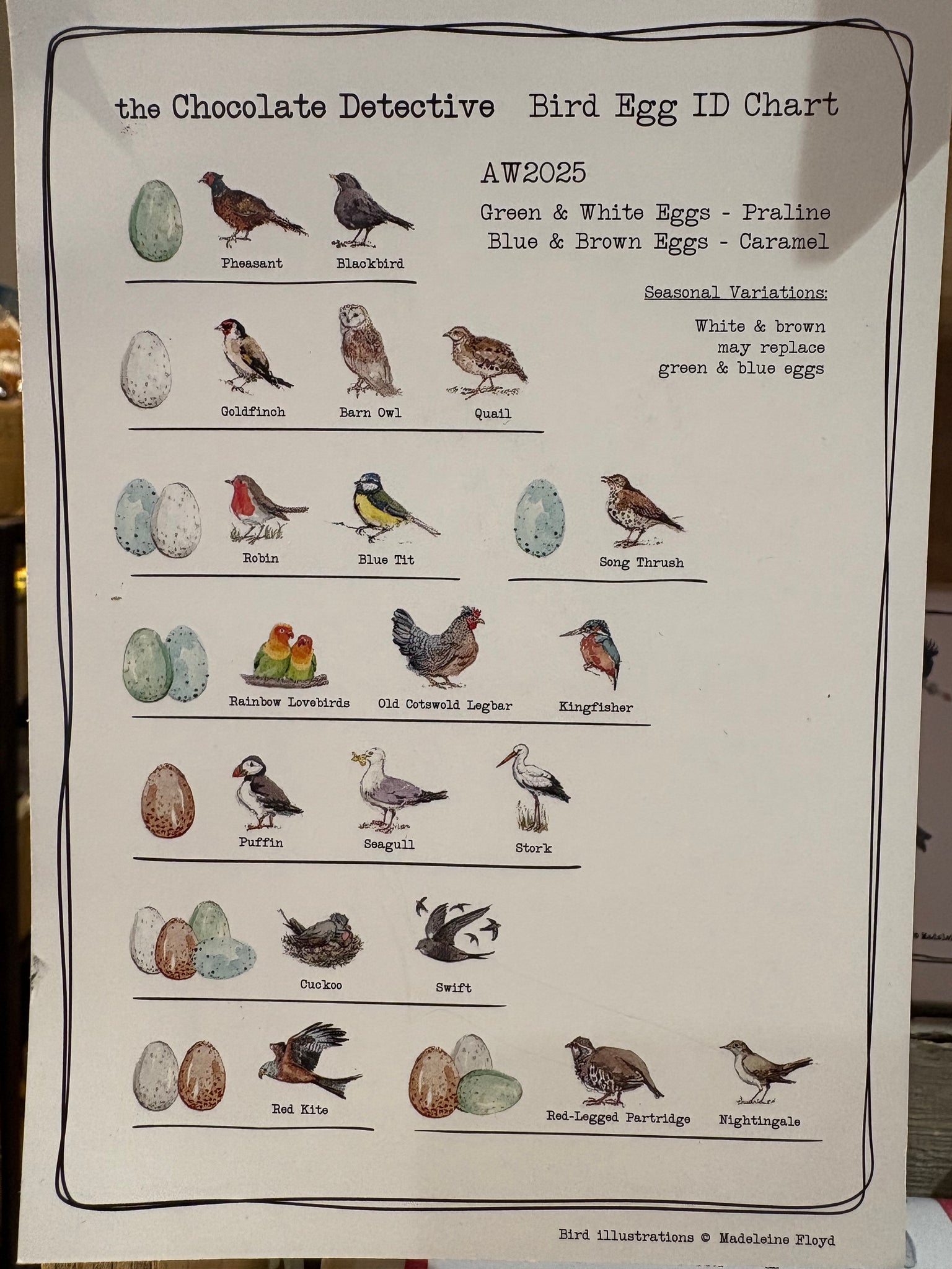 The Chocolate Detectives- 12 Stork Eggs