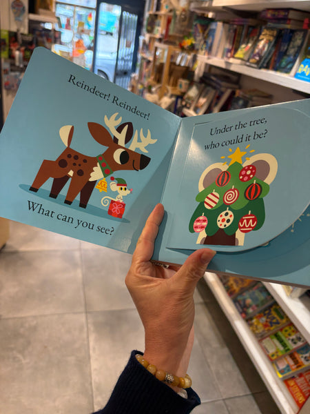 Reindeer Reindeer What Can You See