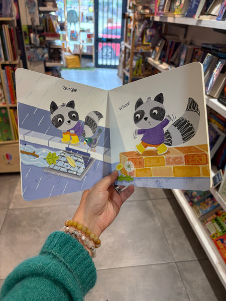 Raccoon Rambles City