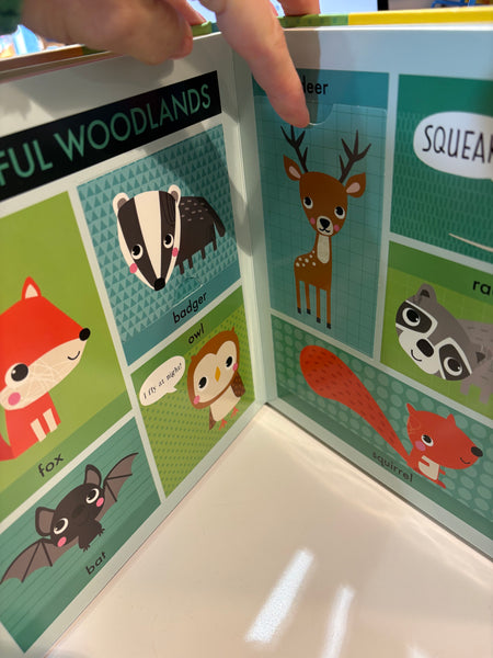 Lift Touch Learn FIRST WORDS Animals