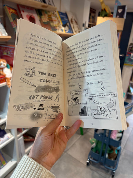 Fairy vs Boy : A Stink Adventure