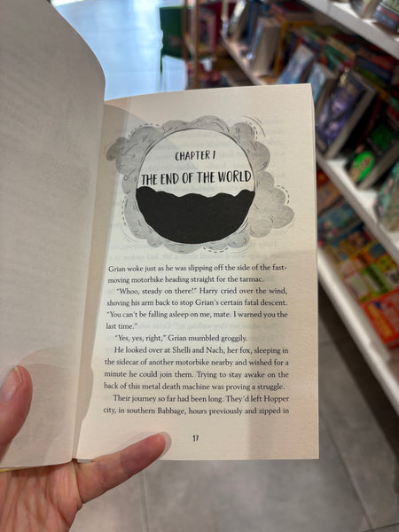 The Light Thieves And The Terrifying Dawn (book 3)