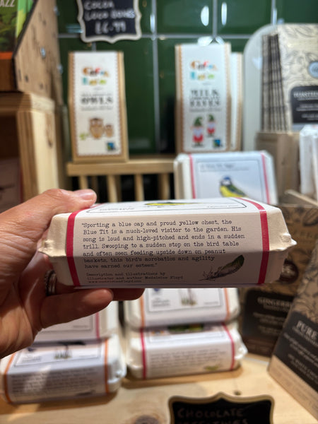 The Chocolate Detectives- 12 Blue Tit Eggs