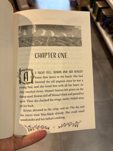 Wildsmith The Hidden Sea #3