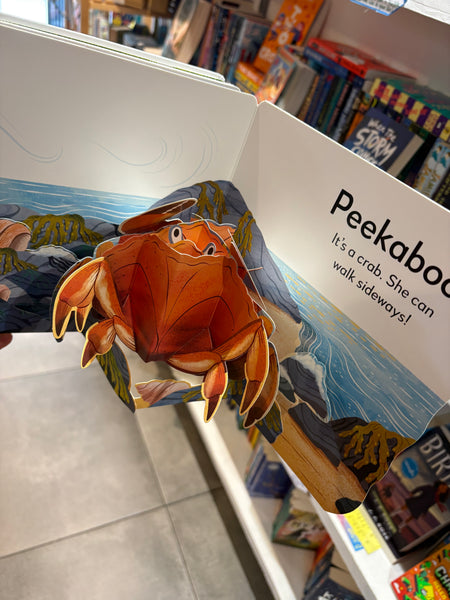 Pop-Up Peekaboo! Seashore