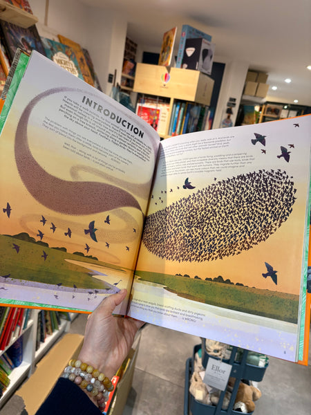 Everything You Know About Birds Is Wrong!