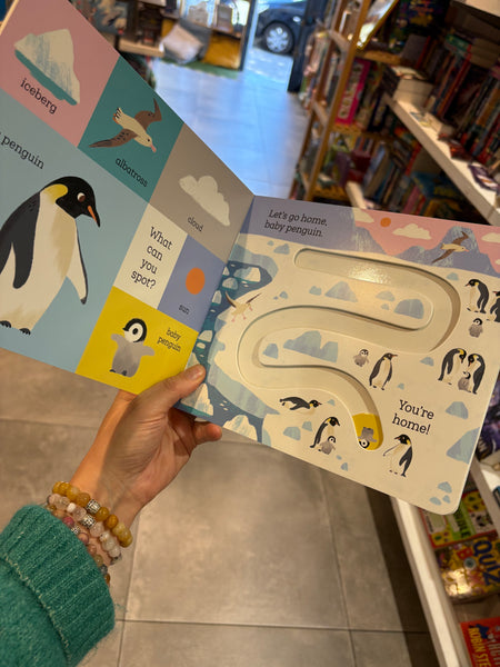 Let’s Go Home Baby Penguin