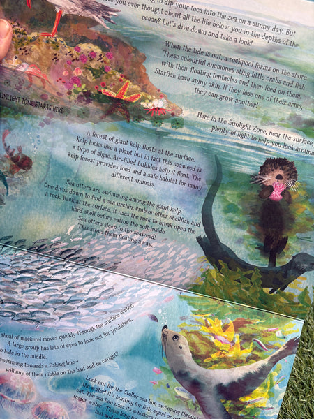 The Sea Below My Toes