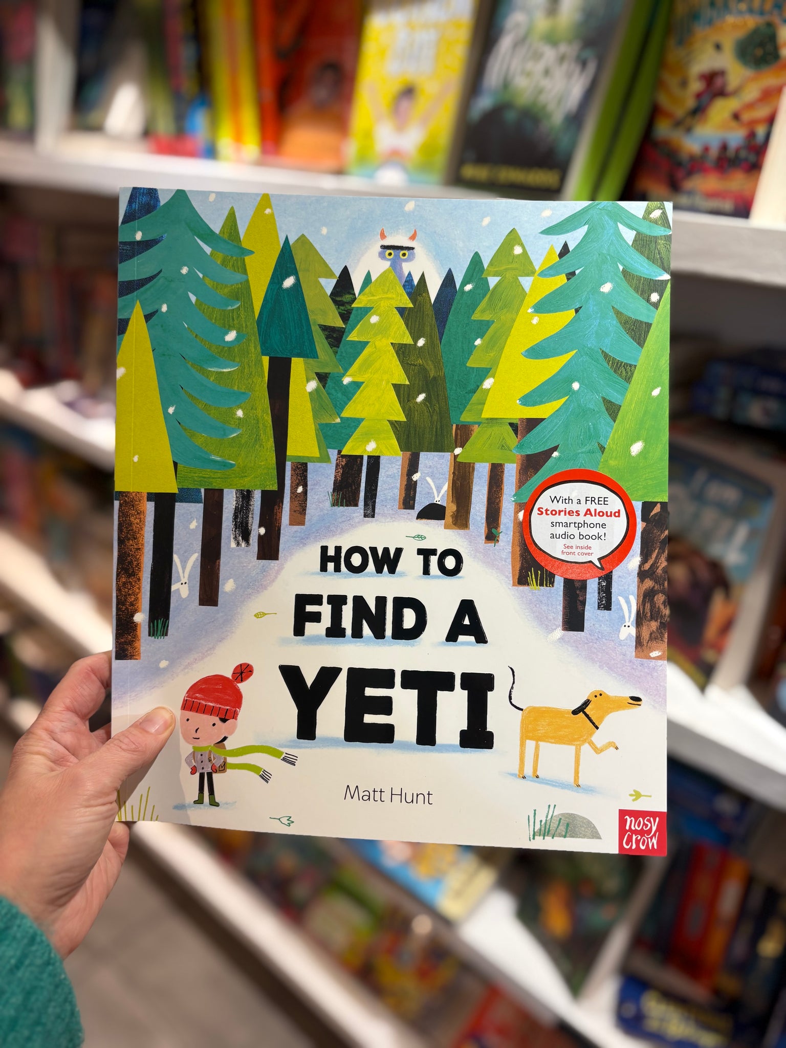 How To Find A Yeti (paperback)