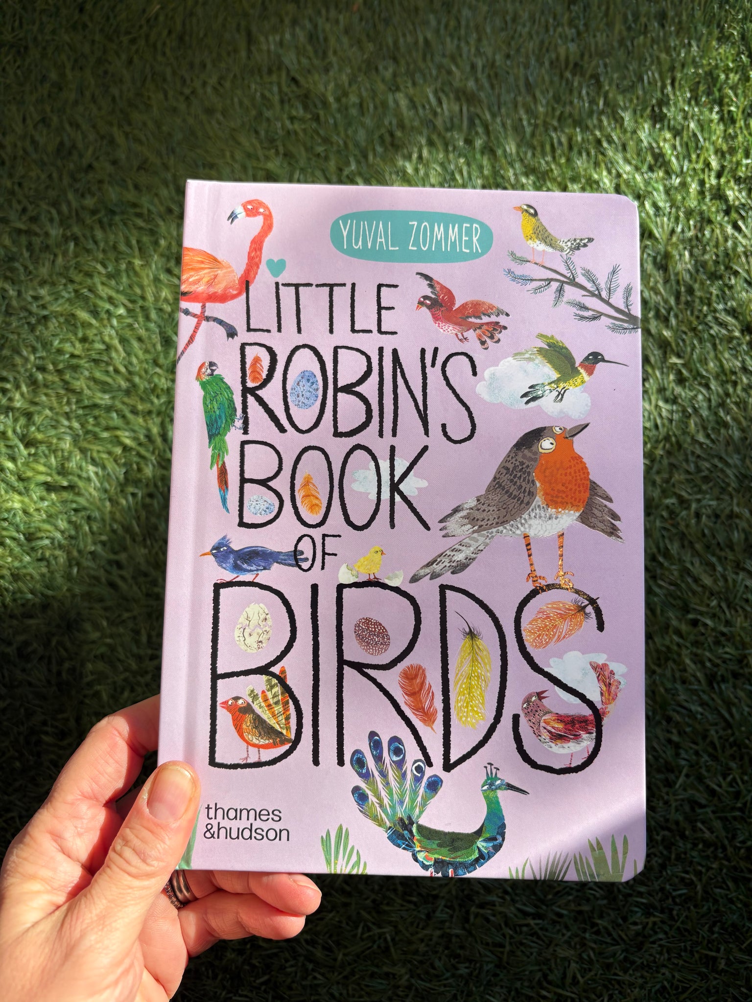 Little Robin's Book of Birds