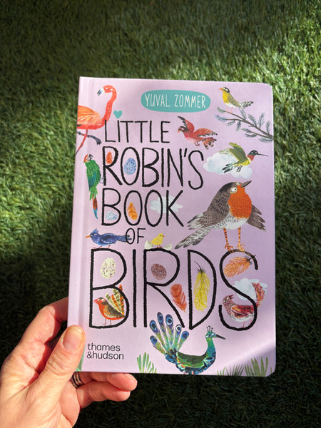 Little Robin's Book of Birds
