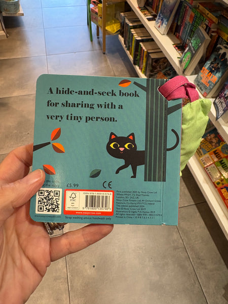 Where’s Mrs Witch? Buggy Book