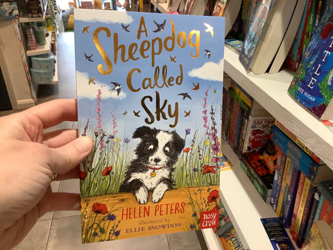A Sheepdog Called Sky