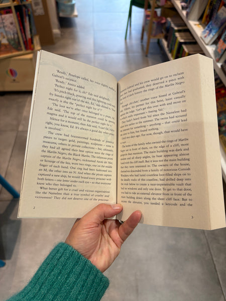 Crookhaven The Island Heist (book 3)