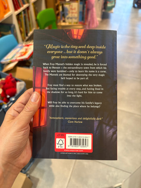The Trouble With Magic - The Hexton Chronicles