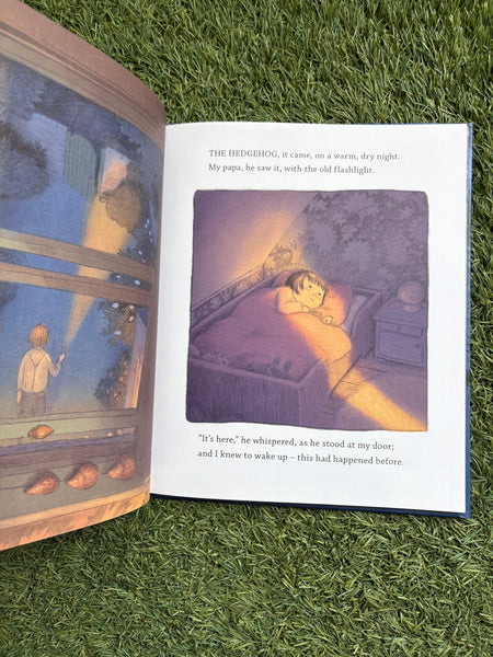 The Night of the Hedgehog