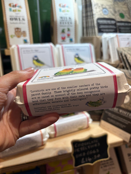 The Chocolate Detectives- 12 Rainbow Lovebird Eggs