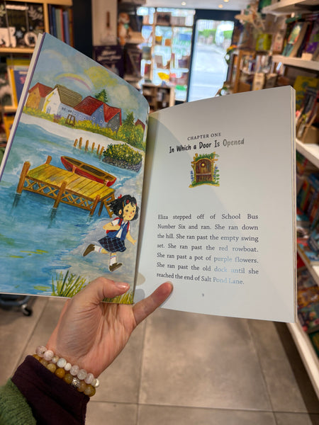 Fairy Door Diaries - Eliza and the Flower Fairies