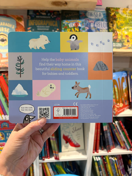 Let’s Go Home Baby Penguin