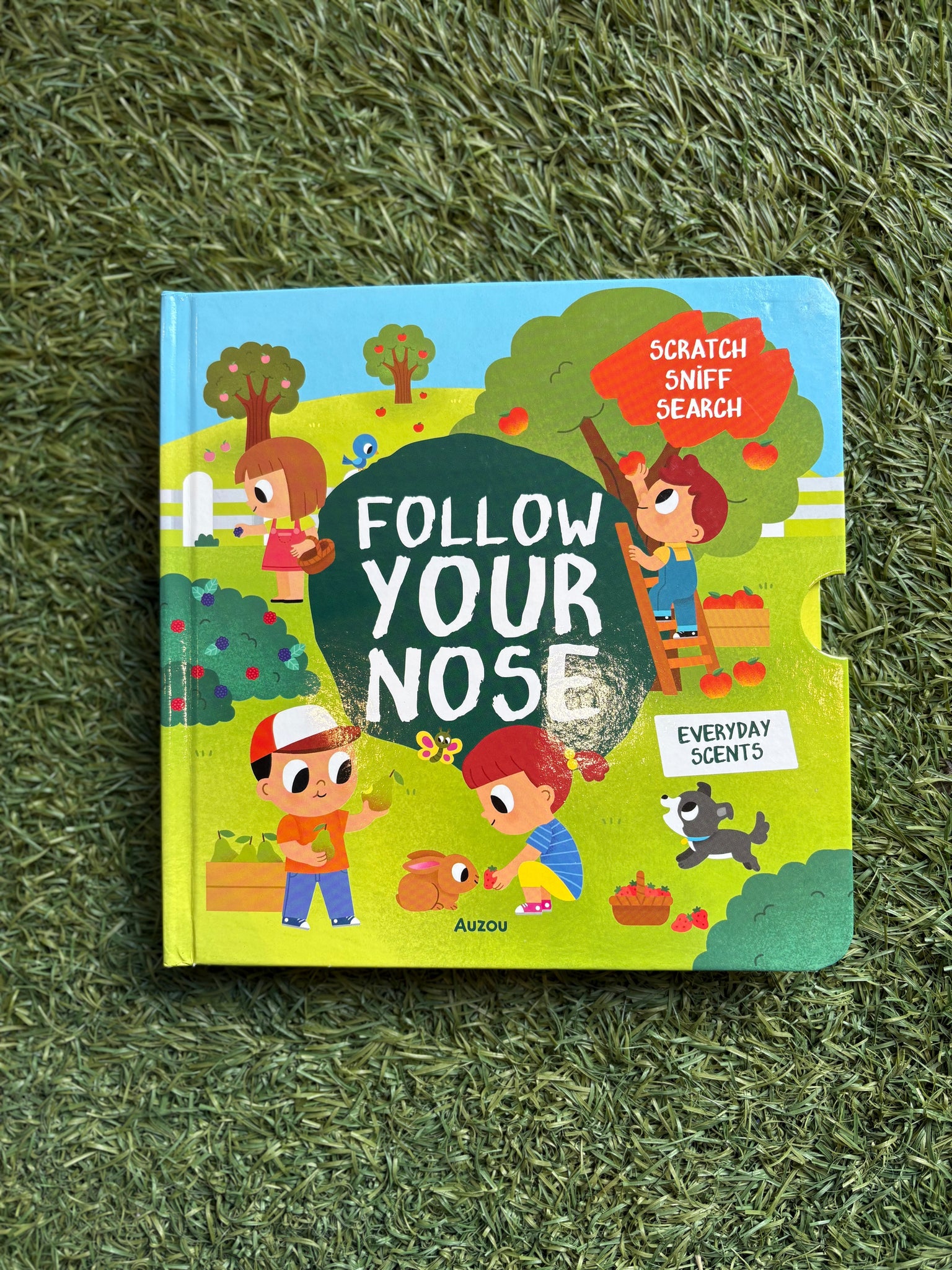 Follow Your Nose Everyday Scents