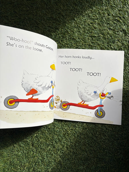 Usborne Phonic Readers Goose on the Loose