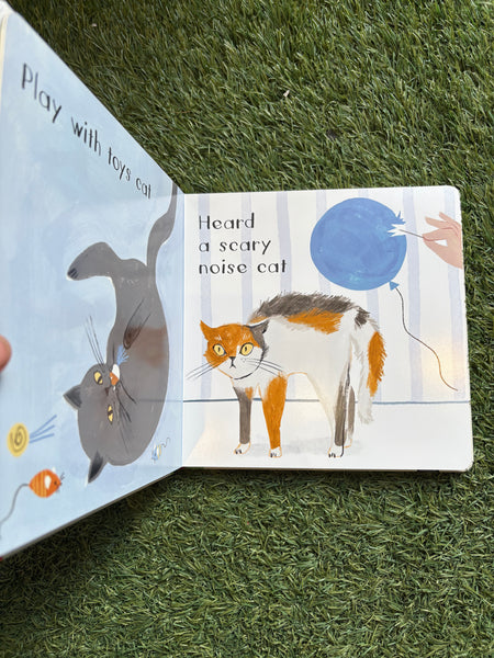 Cat Chat How cats tell us how they feel