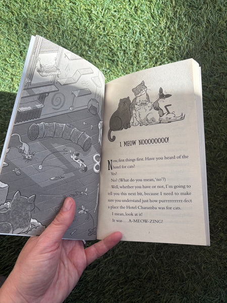 Hotel for Cats No Room for Trouble