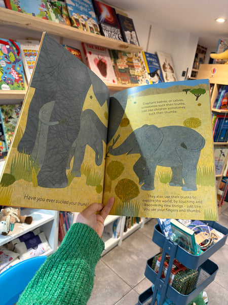 Do Baby Elephants Suck Their Trunks
