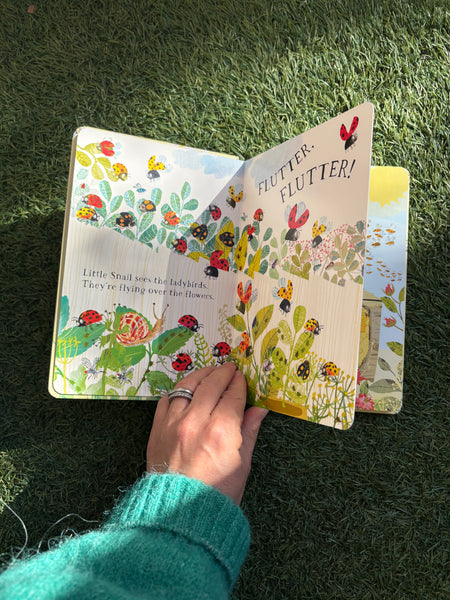 Little Snail's Book of Bugs