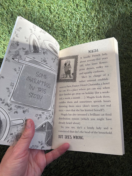 Hotel for Cats No Room for Trouble