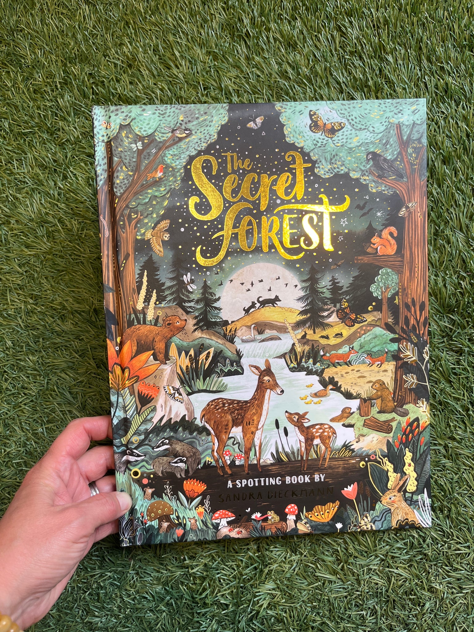 The Secret Forest