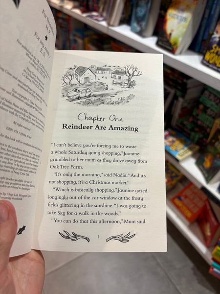 A Reindeer Called Joy