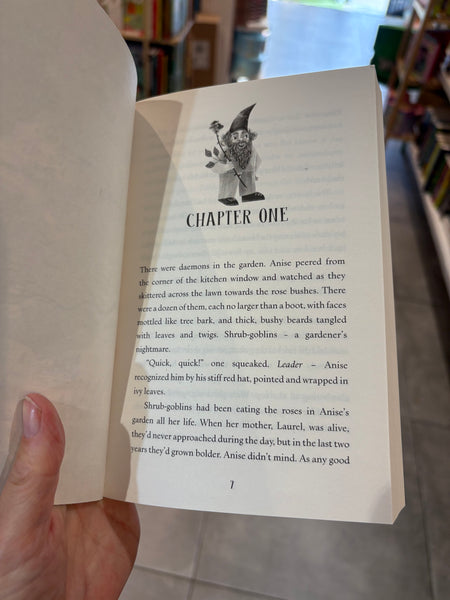 Heartseer The tale of Anise Star Rowan Foxwood