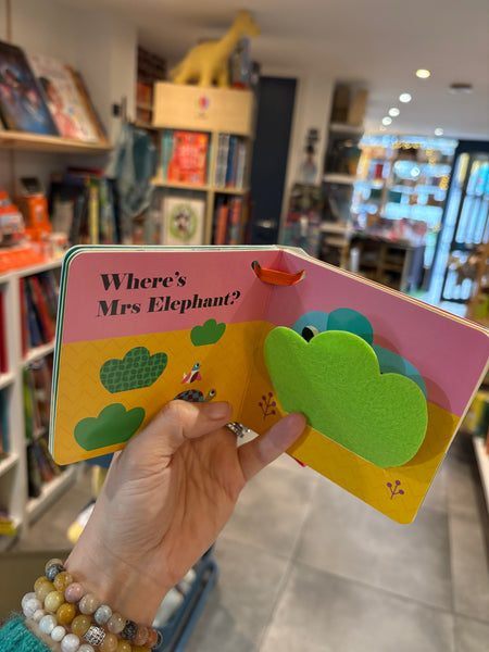 Where’s Mr Lion Buggy Book
