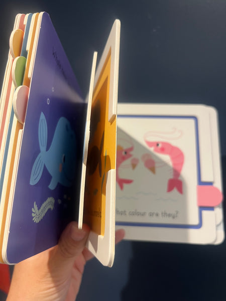 Chunky Lift-a-flap Book Colours