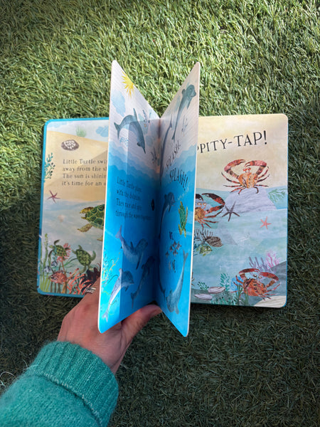 Little Turtle's Book of the Blue