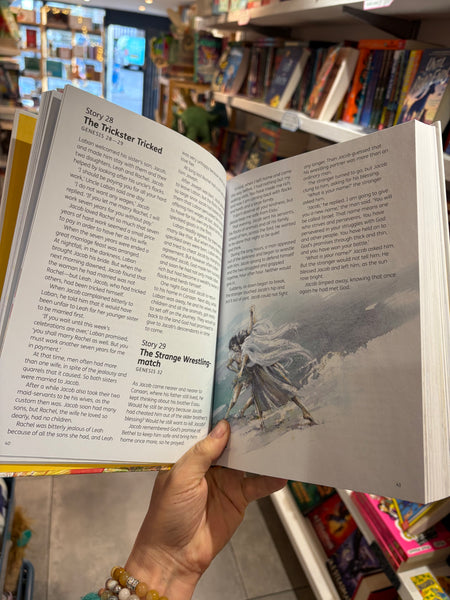 The Children’s Bible in 365 Stories