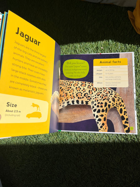 My First Book of Rainforest Animals