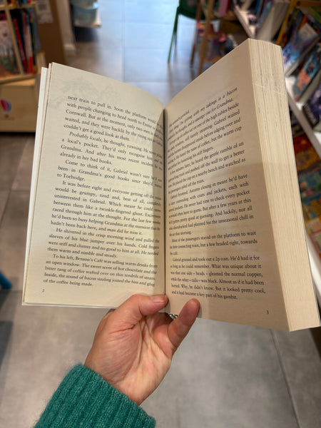 Crookhaven The School for Thieves (book 1)