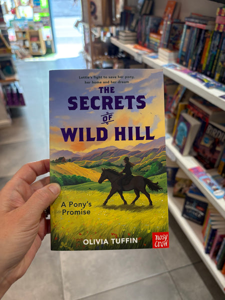 The Secrets of Wild Hill: A Pony's Promise