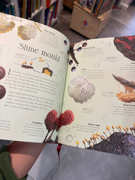 An Anthology of Micro Life