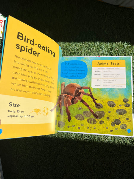 My First Book of Rainforest Animals