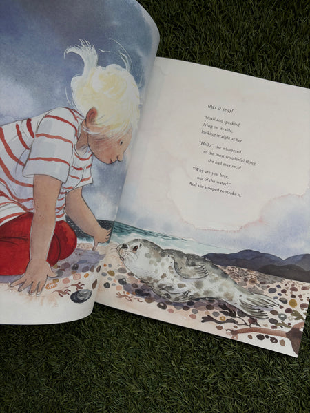 The Seal on the Beach