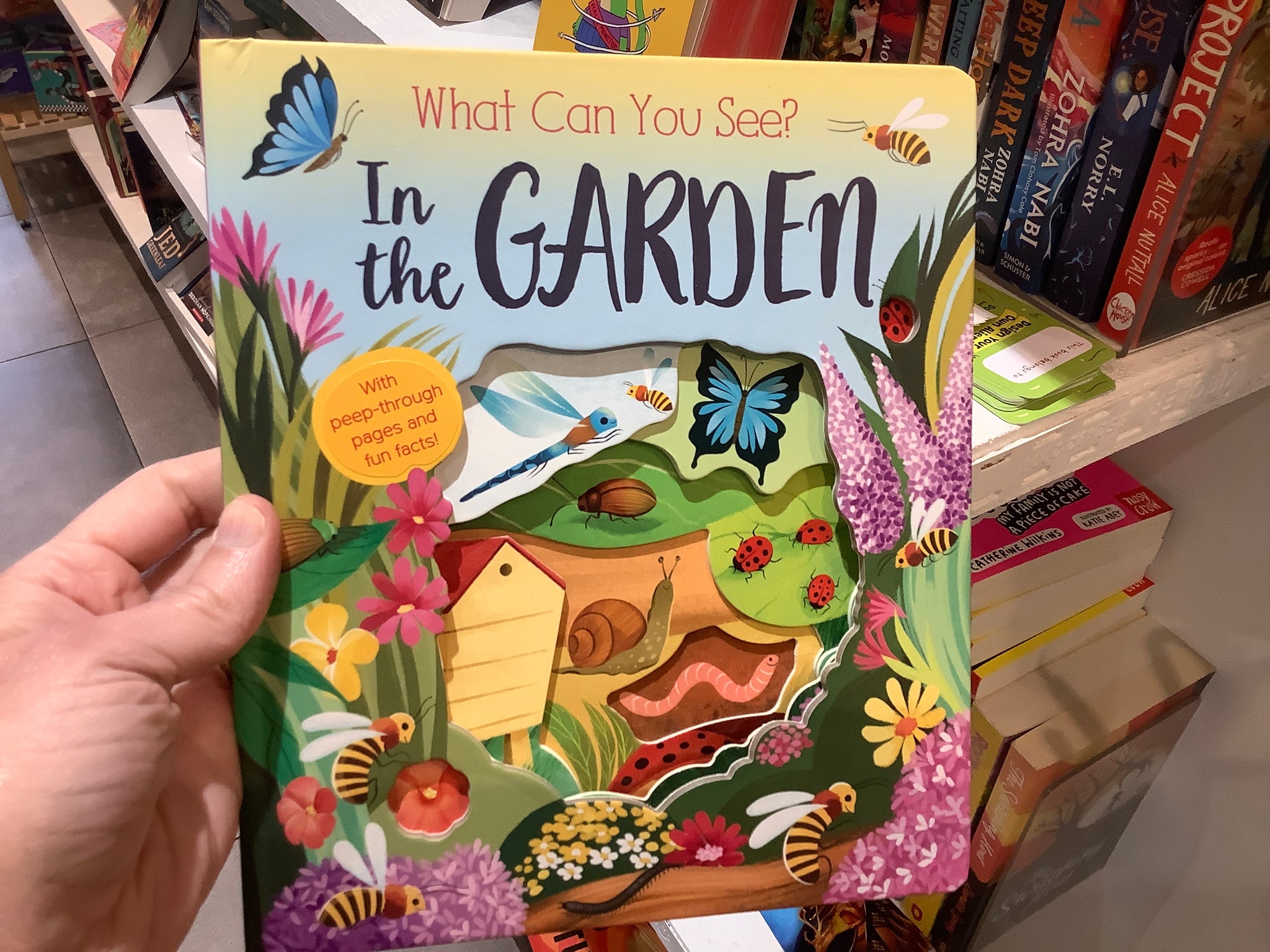 What Can You See In The Garden
